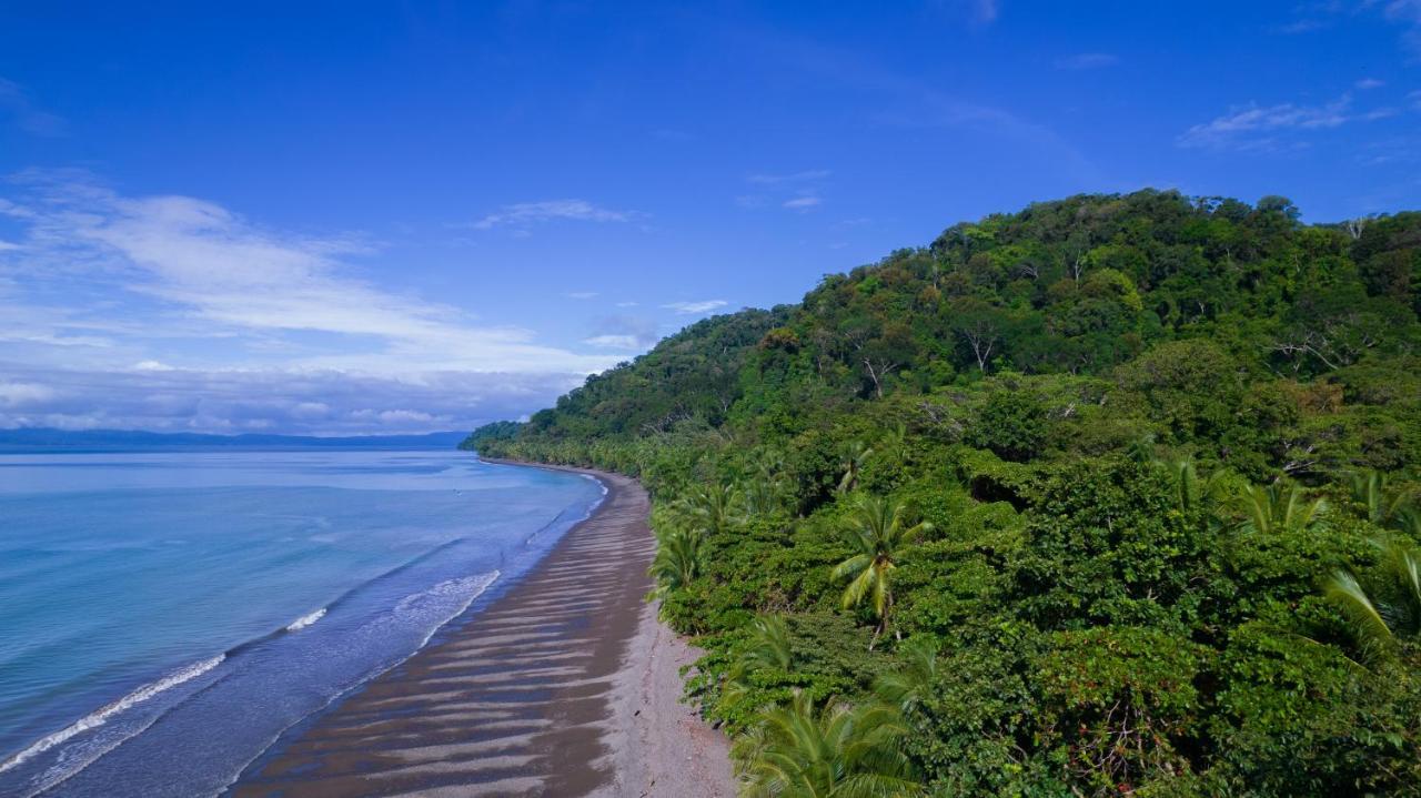 Vila Dolphin Quest Costa Rica Piedras Blancas Exteriér fotografie
